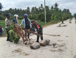 Warga Desa Watubula Sigi Tanam Puluhan Pohon Pisang di Jalan