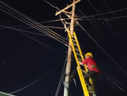 Petugas PLN ULP Donggala sedang memperbaiki listrik yang padam. Foto: istimewa