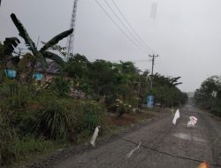 Kabel listrik melintang dijalan, sehingga terjadi pemadaman di enam kecamatan di Kabupaten Sigi. Foto: istimewa