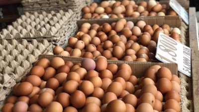 Harga Telur di Palu Tembus Rp56.000 Per Rak, Pedagang Keluhkan Sepi Pembeli