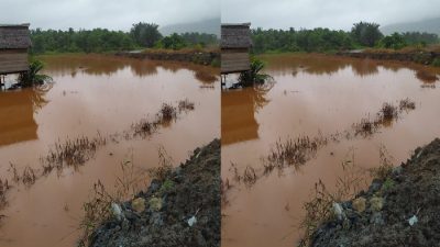 Puluhan Hektare Sawah Petani Desa Solona Morowali Terendam Lumpur, Diduga dari Tambang Nikel di Wilayah Hulu