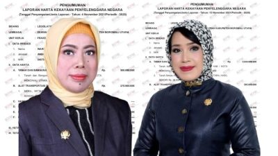 Ini Perbandingan Harta Kekayaan Ketua dan Mantan Ketua DPRD Morut Warda Dg. Mamala dan Megawati Ambo Asa