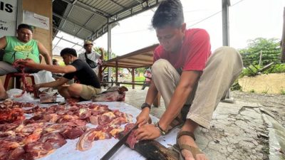 PT CPM Salurkan Puluhan Hewan Kurban di Lingkar Tambang